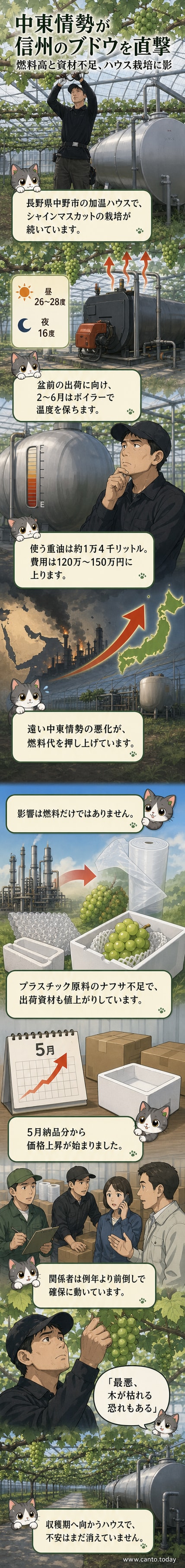 重油タンクの横でブドウの世話をしている農家の様子。背景にはビニールハウスが広がる。
