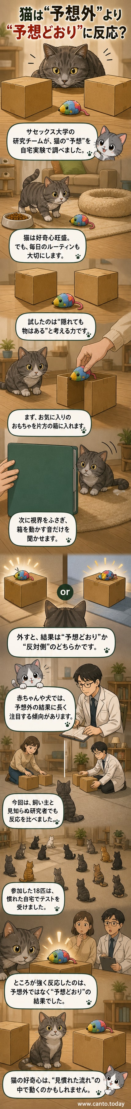 実験で猫が段ボール箱の前にいる様子。目の前で手品が行われている。
