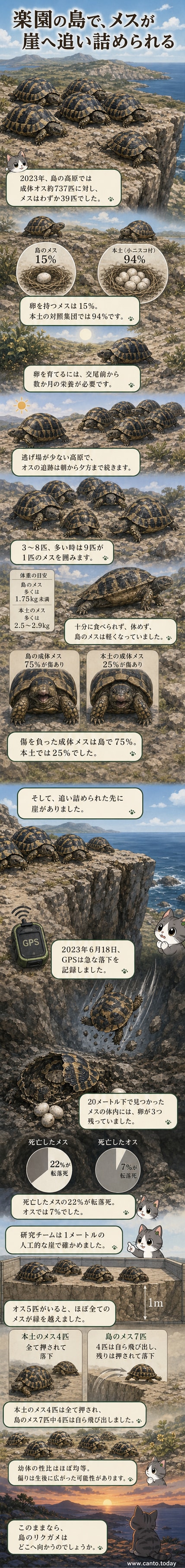 高原の崖際に立つリクガメのメス。背後から複数のオスが迫り、緊迫した状況が伝わる。