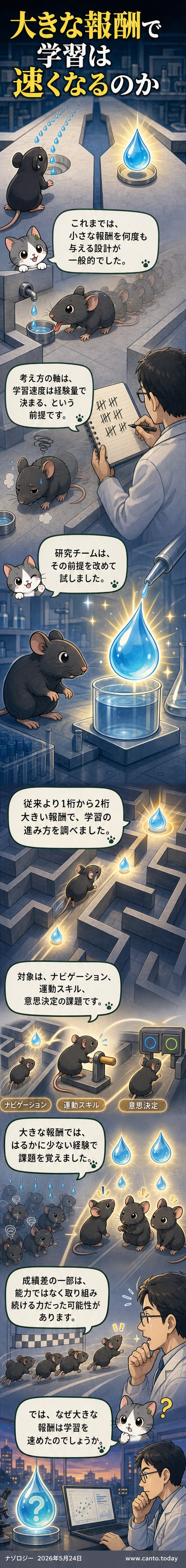 大きな水の報酬を受け取るマウスの様子。従来の小さな報酬と比べて学習速度が加速している。