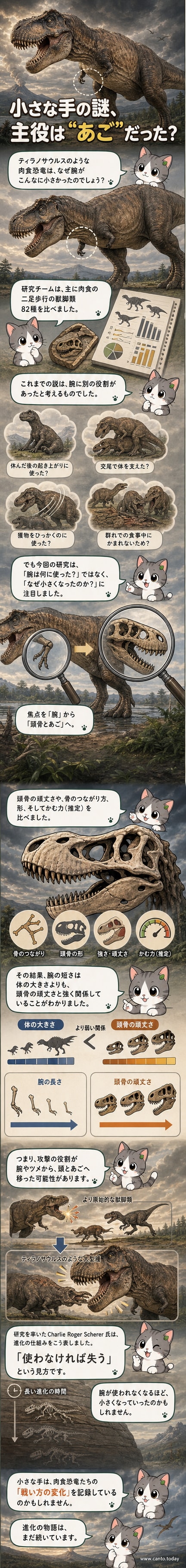 ティラノサウルスが小さな前肢を前にした姿と、頭骨の強さと前肢の進化の関係を示す図解