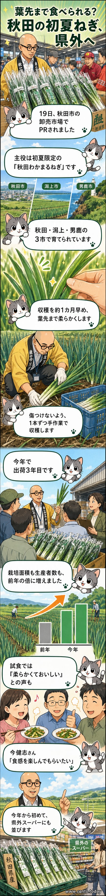 秋田県の市場で並ぶ、葉先まで新鮮な「秋田わかまるねぎ」の束。JA関係者と農家が笑顔で見つめている。