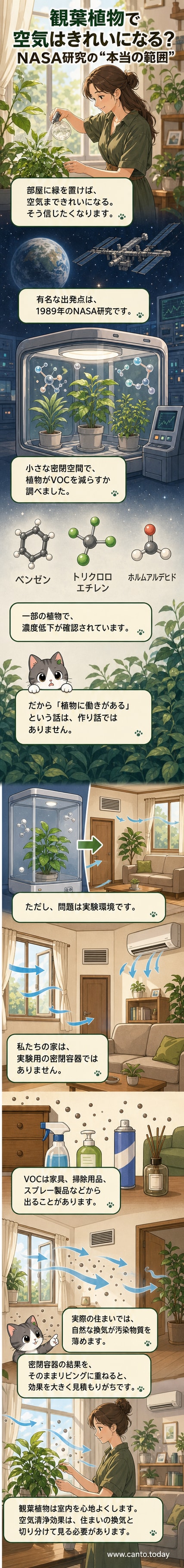 リビングに置かれた観葉植物の前で、空気中の分子がどのように変化するかを示す科学的ビジュアル
