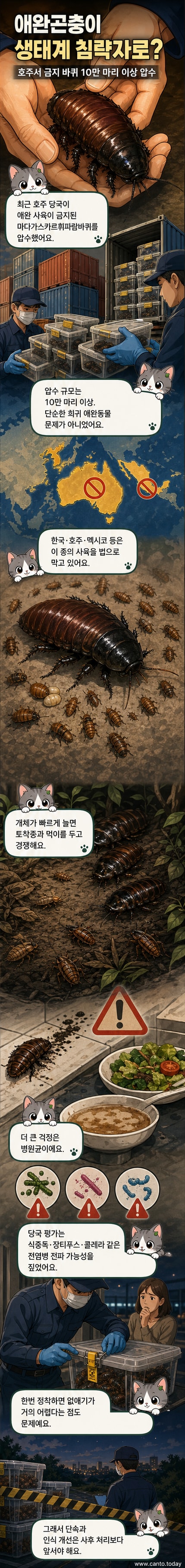 압수된 마다가스카르 휘파람바퀴가 담긴 컨테이너와 이를 점검하는 호주 검역 요원의 모습