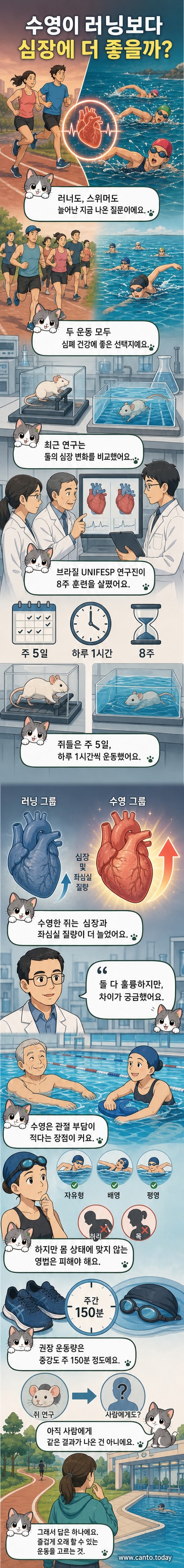 수영과 달리기를 비교하는 과학 연구를 설명하는 일러스트. 수영하는 사람과 달리는 사람이 나란히 있고, 심장 이미지와 건강 지표가 함께 표시됨