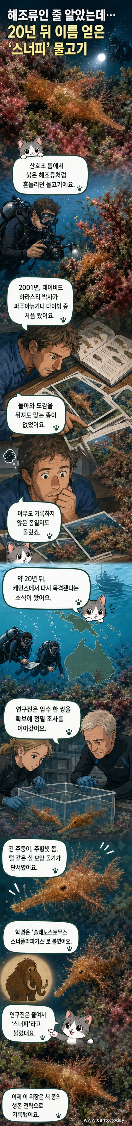 해조류 사이에 숨어 있는 주황빛 돌기와 긴 주둥이를 가진 신종 유령실고기. 애니메이션 캐릭터를 연상시키는 외형.