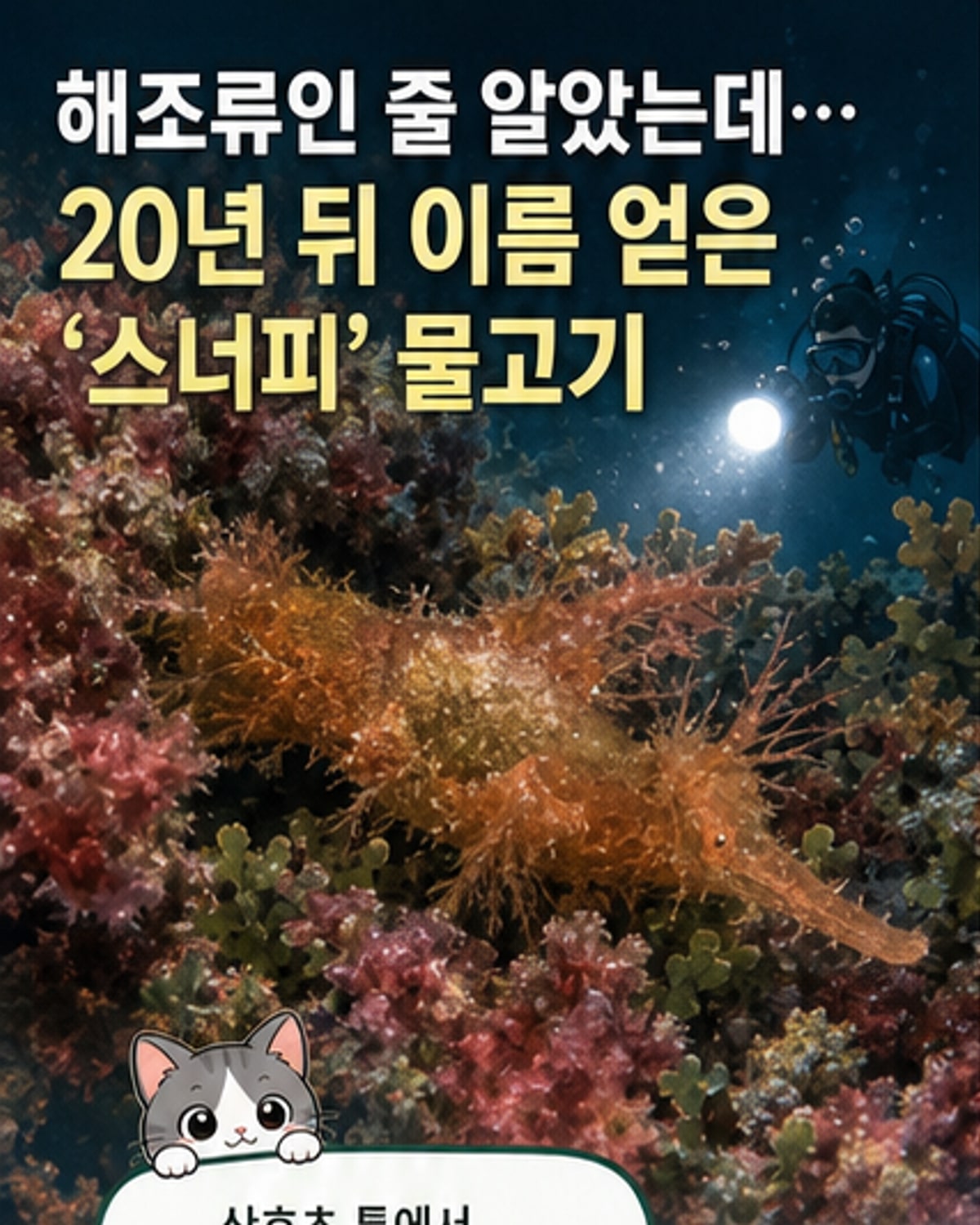 ‘미스터 스너플루파거스’ 닮은 신종 물고기 발견