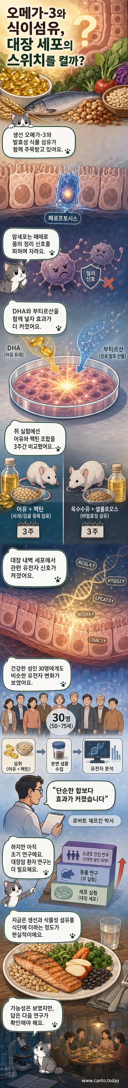 세포 안에서 오메가-3와 섬유질 유래 부티르산이 결합해 암세포를 제거하는 페로프토시스 과정을 보여주는 과학 일러스트
