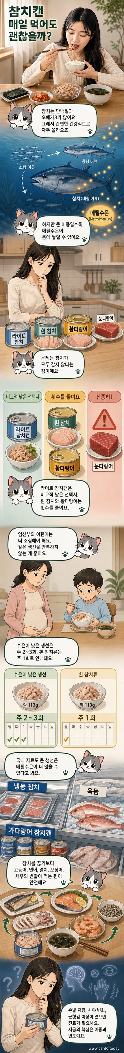 참치캔과 다양한 생선 일러스트, 메틸수은 축적 과정을 보여주는 인포그래픽