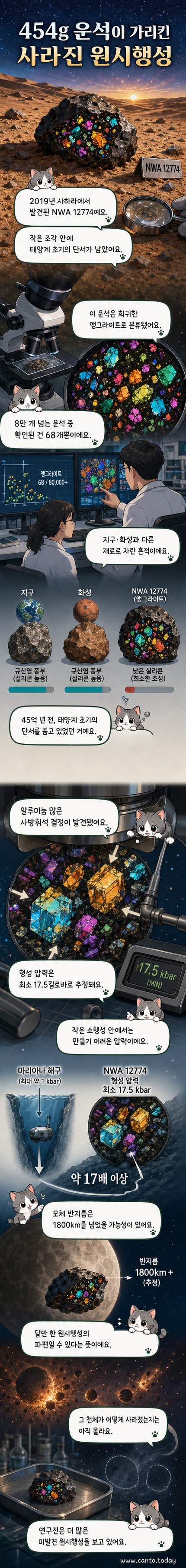 사하라 사막에서 발견된 NWA 12774 운석의 편광 현미경 이미지. 다양한 색상과 결정 구조가 보인다.