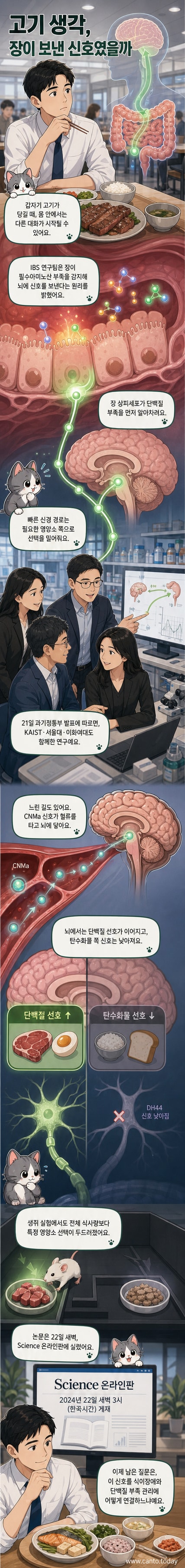 연구진이 밝혀낸 장-뇌 축의 작동 원리를 보여주는 일러스트. 장에서 분비된 CNMa 호르몬이 신경과 혈액을 통해 뇌로 전달되며, 뇌는 단백질 음식 섭취를 유도하는 신호를 내보냅니다.