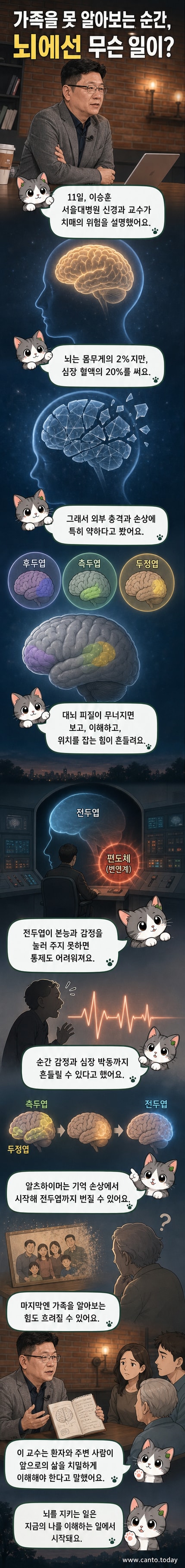 뇌의 구조와 치매 진행 단계를 보여주는 과학 일러스트