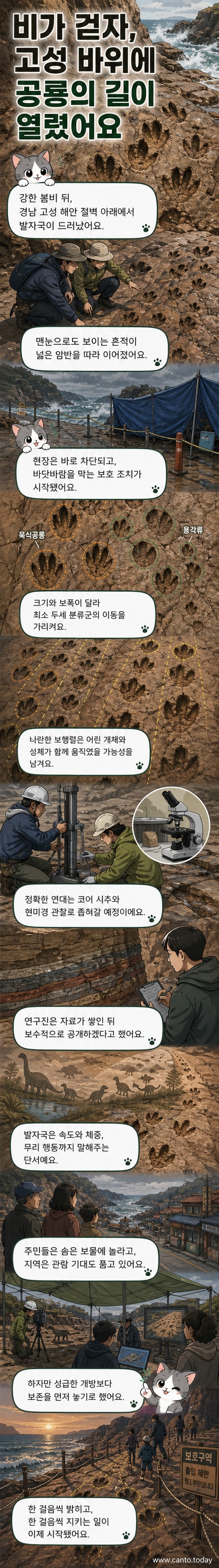 경남 고성 해안에서 발견된 수백 개의 공룡 발자국이 암반 위에 줄지어 있는 모습. 육식과 초식 공룡의 발자국이 서로 다른 방향으로 교차되어 있다.
