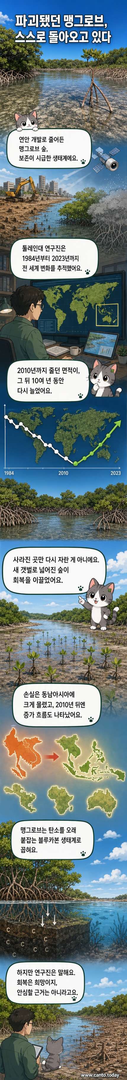 푸른 갯벌 위로 무성하게 자란 맹그로브 숲의 위성 이미지와 하구에서 자라고 있는 맹그로브 묘목 사진