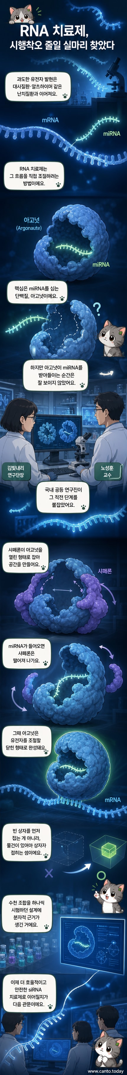 연구진이 규명한 아고넛 단백질과 miRNA의 결합 과정을 보여주는 일러스트. 샤페론 단백질이 아고넛을 열린 상태로 잡고 있고, miRNA가 결합한 후 닫힌 구조로 변화하는 과정이 시각적으로 표현됨.