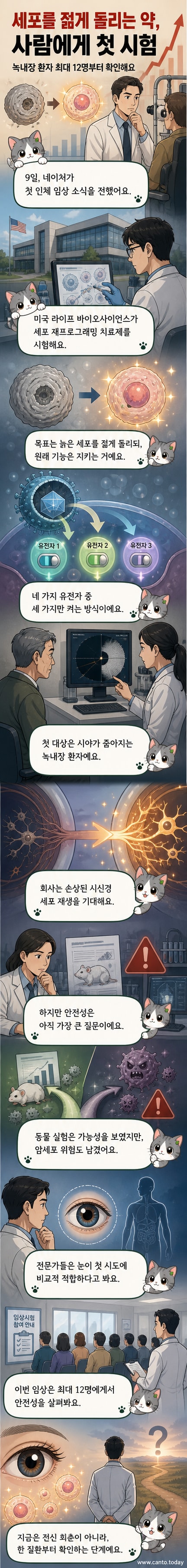 세포 속 노화된 핵(회색)이 젊은 상태(밝은 주황색)로 되돌아가는 시각화 이미지
