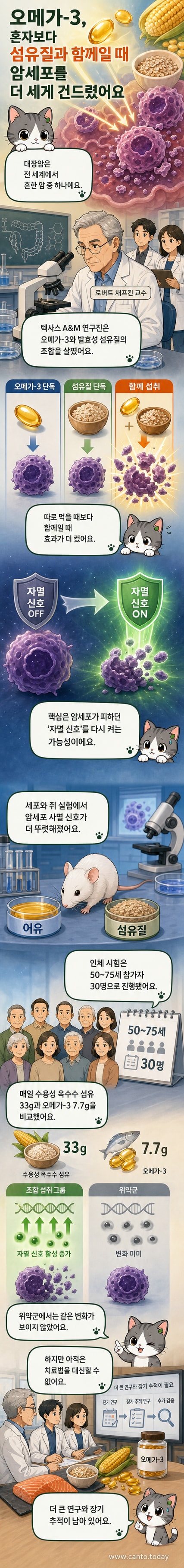 오메가-3와 식이섬유가 대장암 세포 자멸을 유도하는 과정을 보여주는 시각적 흐름도