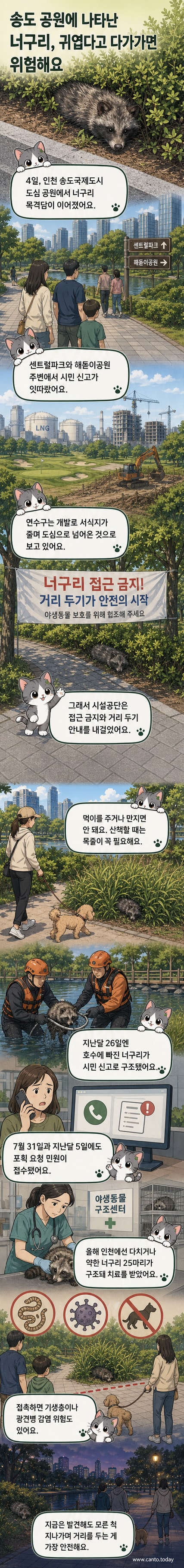 인천 송도 센트럴파크에서 발견된 너구리