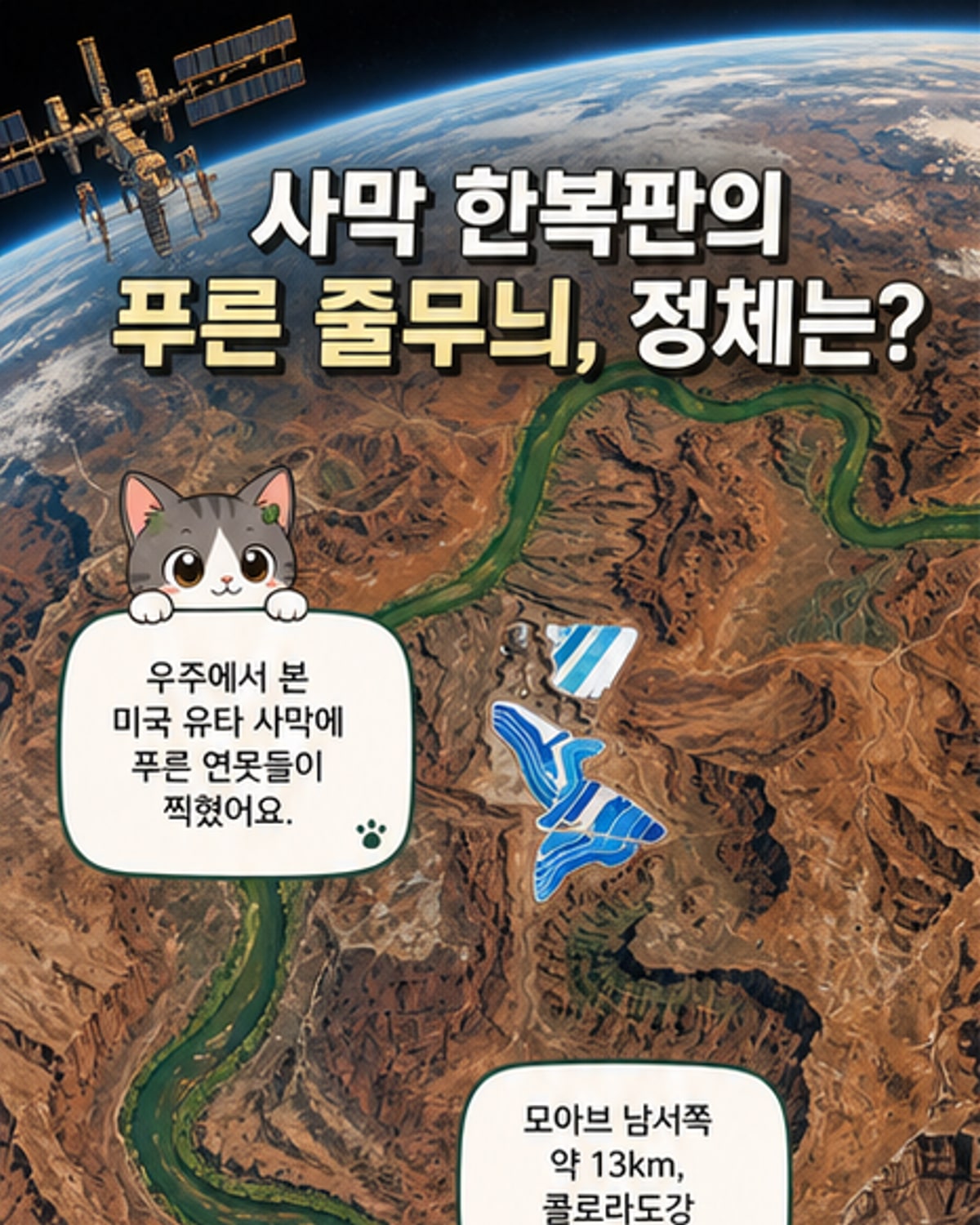 사막에 푸른 줄무늬가 선 이유