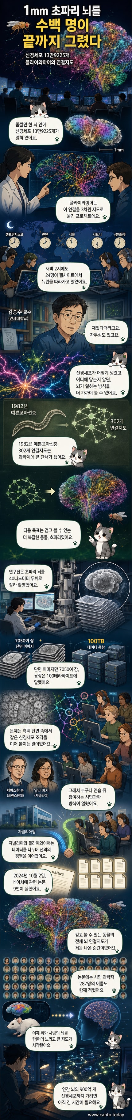 초파리 뇌 정면 이미지. 색상이 칠해진 각 덩어리는 개별 신경세포로, 복잡하게 얽힌 3차원 연결 구조를 보여준다.