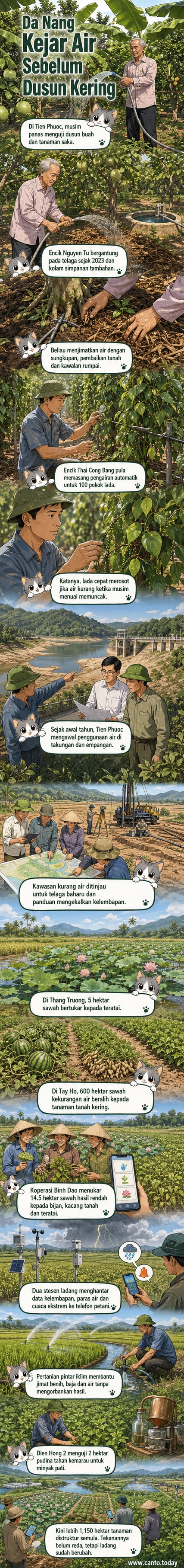 Petani di Da Nang menggunakan sistem pengairan automatik dan sungkupan untuk melindungi tanaman semasa musim kemarau.