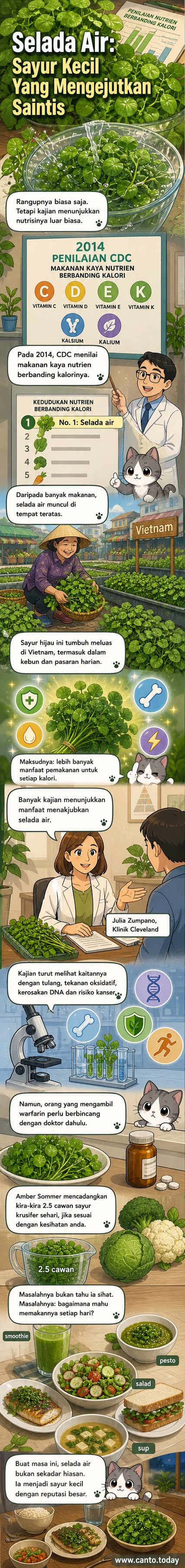 Ilustrasi selada air segar dengan daun hijau lembut, dikelilingi oleh makanan sihat lain seperti brokoli dan buah-buahan, latar belakang sawah padi Vietnam.