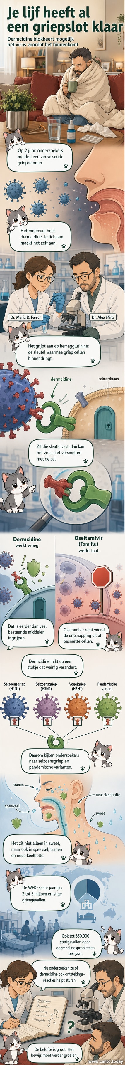 Illustratie van een menselijk lichaam dat zweet, tranen en speeksel produceert, met een close-up van het dermcidine-peptide dat het griepvirus blokkeert bij celtoegang.