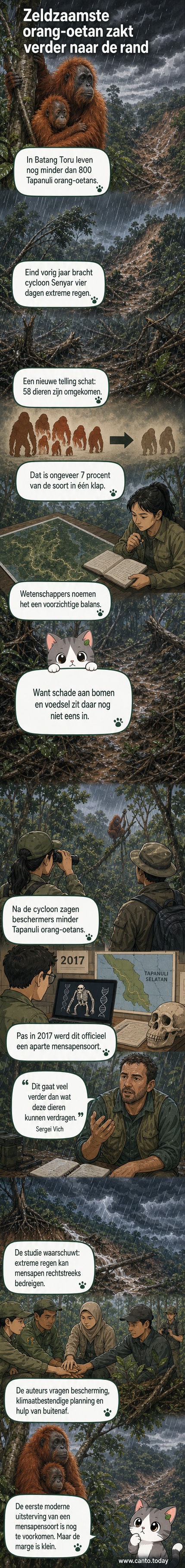 Een Tapanuli orang-oetan met haar jong in het regenwoud van noordelijk Sumatra, met dichte begroeiing en schemerig licht.