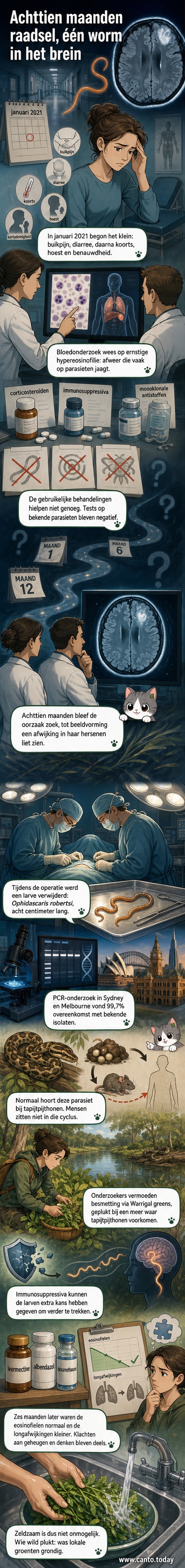Illustratie van een 8 cm lange parasitaire worm in een menselijke hersenafbeelding, met eromheen medische symbolen en een afbeelding van een tapijtpython