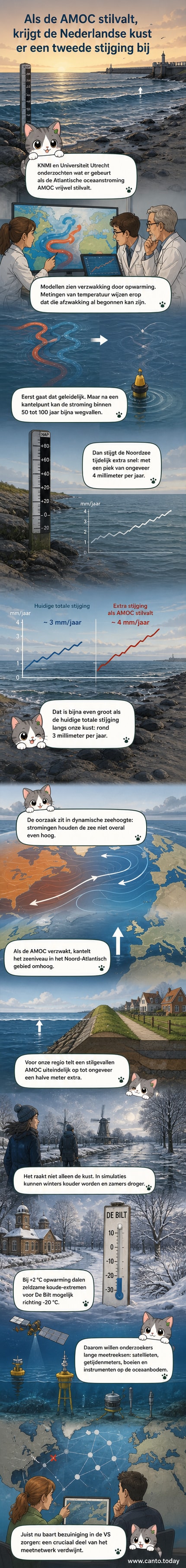Visuele weergave van de AMOC-stroming en de toename van de zeespiegelstijging langs de Nederlandse kust tijdens het stilvallen van de stroom, met grafiek van jaarlijkse stijging tot 4 mm extra.