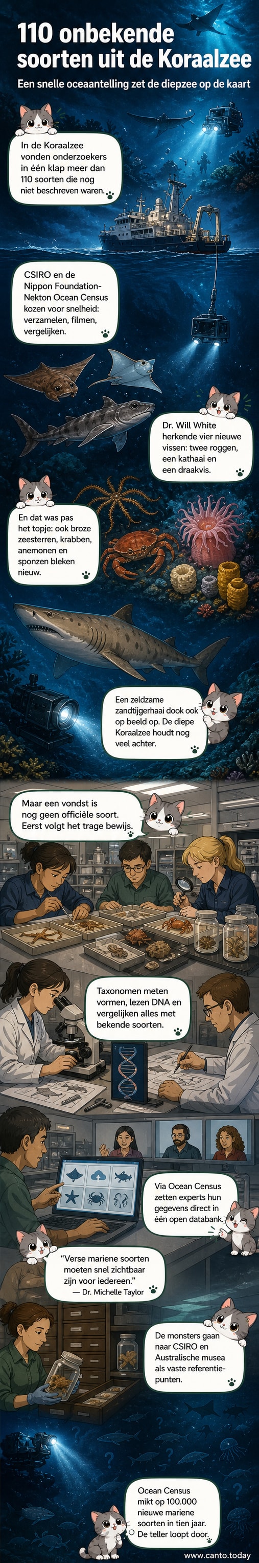 Illustratie van een diepzee-expeditie met onderzoekers die nieuwe zeedieren ontdekken, waaronder een zandtijgerhaai en vreemde sponzen in het donkerblauwe water van de Koraalzee.