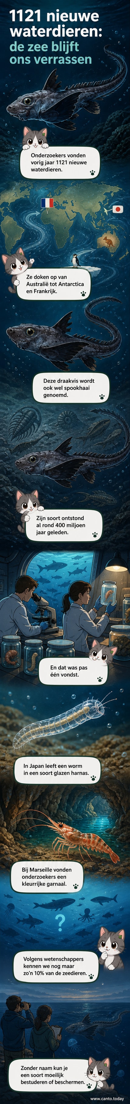 Illustratie van een spookhaai, een glazen worm en een mediterrane garnaal, drie van de 1121 nieuwe zeedieren ontdekt in 2026.