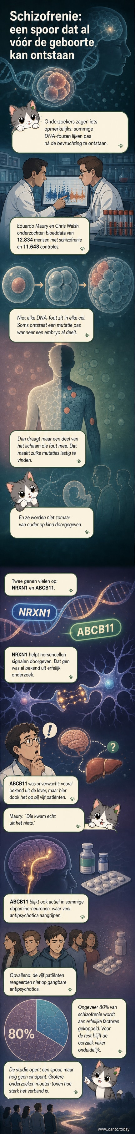 Een illustratie van een vroeg embryo met DNA-sequenties eromheen, waarin mutaties in de genen NRXN1 en ABCB11 worden gemarkeerd.