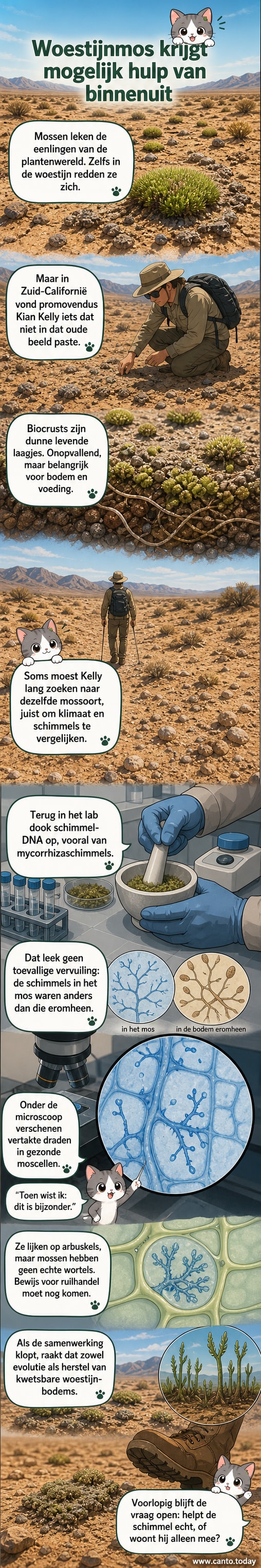 Microscopische opname van mosweefsel met blauw gekleurde schimmeldraden in de cellen, met daaromheen een woestijnlandschap.