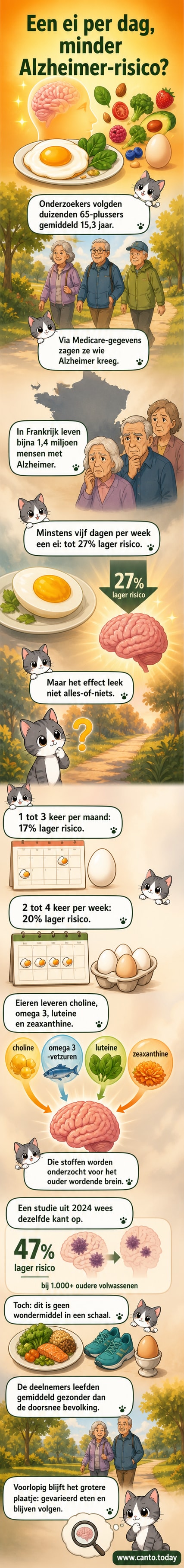 Een bord met een gekookt ei en een stuk spek, met een achtergrond van hersenillustraties en voedingsstoffen zoals choline en omega-3