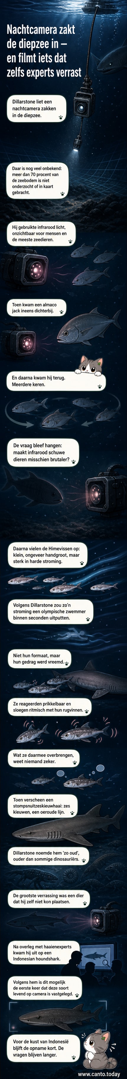 Illustratie van een diepzeecamera met infraroodlicht die vreemd visgedrag en een zeldzame haai vastlegt in donkere oceaan.