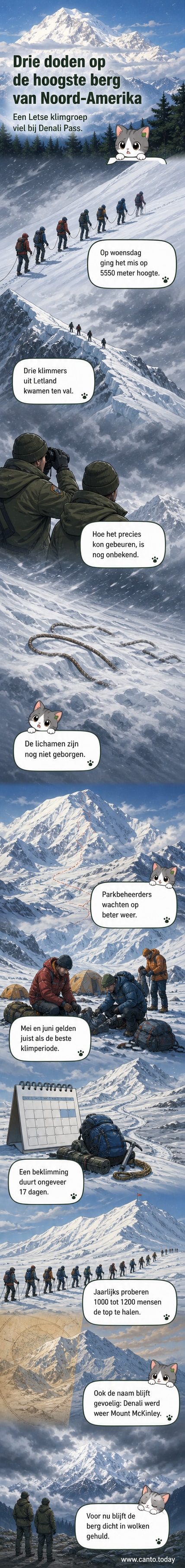 Schemerig zicht op de besneeuwde flanken van Denali, met een klimmersspoor dat verdwijnt in de mist.