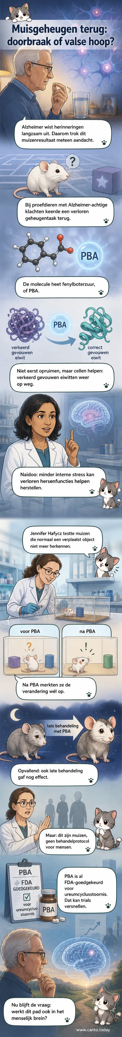 Illustratie van hersencellen waarin een molecule (PBA) helpt bij het correct vouwen van eiwitten, met een vergelijking tussen gezonde en beschadigde neuronen.