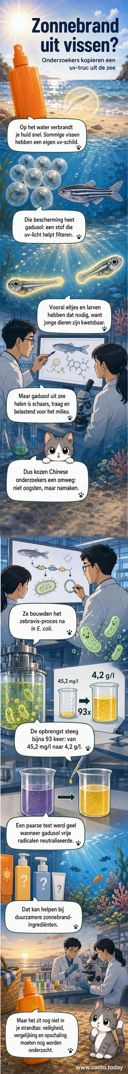 Een schematische illustratie van een zeebaars die zonlicht weerkaatst, met een vergrootde weergave van gadusol-moleculen in de huid en bacteriën die het stofje produceren.