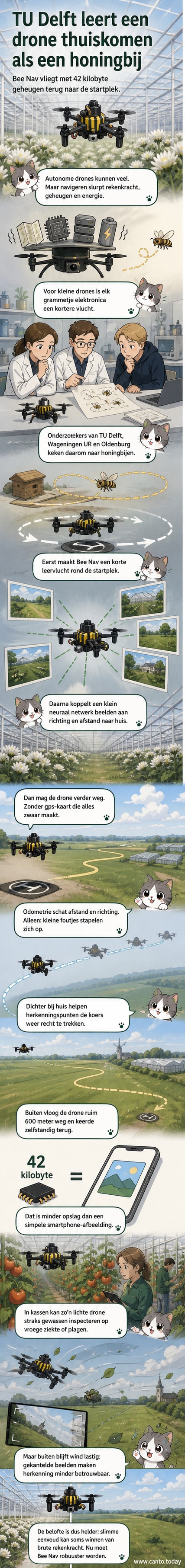 Een kleine drone vliegt boven een grasveld, omringd door bomen, met een transparante routevisualisatie die terugleidt naar een startpunt.