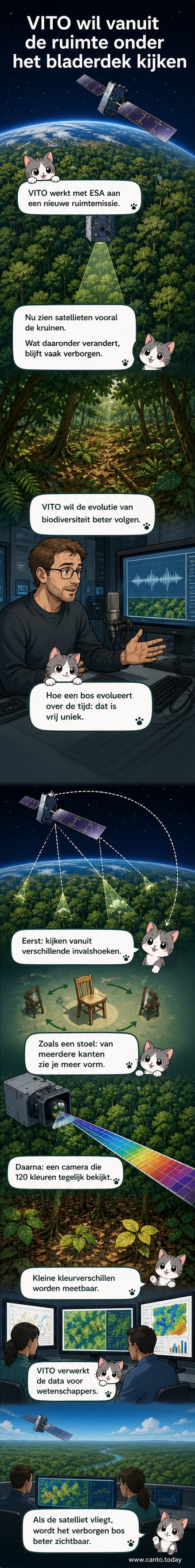 Illustratie van een satelliet die door het bladerdak van een bos heen kijkt, met zicht op de bodem en diverse plantensoorten onder de bomen.