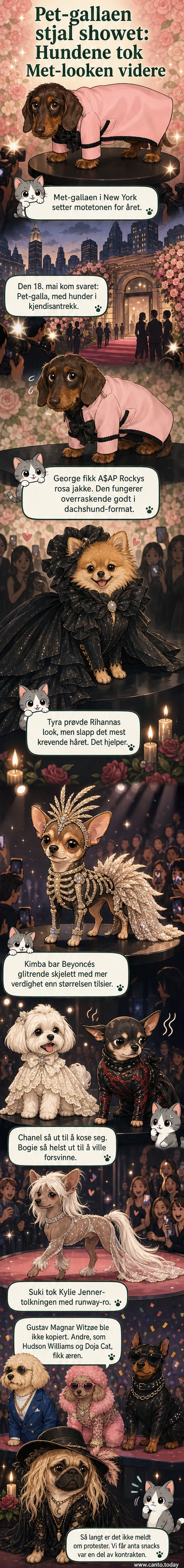 To hunder står side om side med kjendiser: en dachshund i A$AP Rockys rosa jakke og en chihuahua i Beyoncés glitrende kjole, begge fra Pet-gallaen i New York.