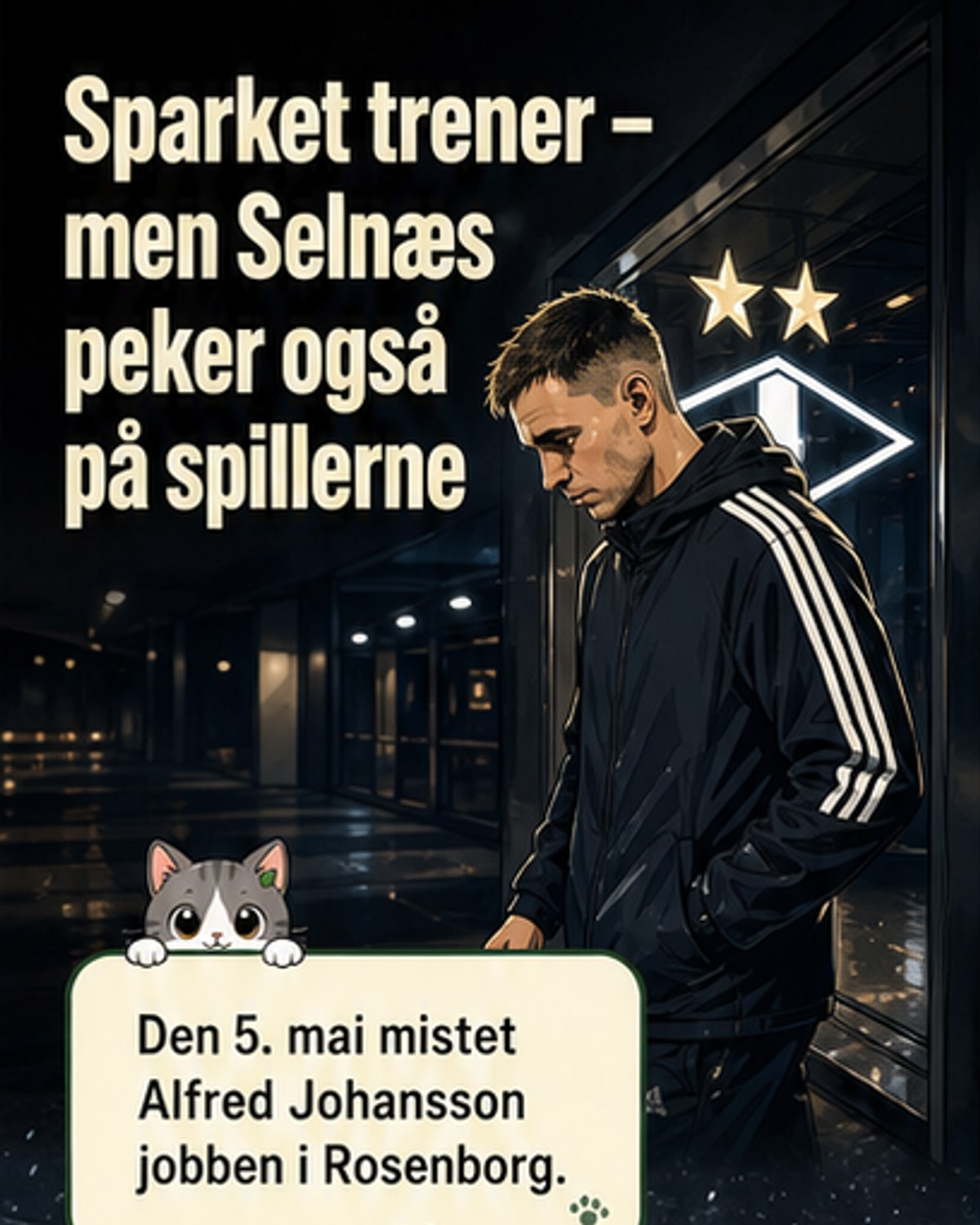 Selnæs: Ikke bare Johanssons feil
