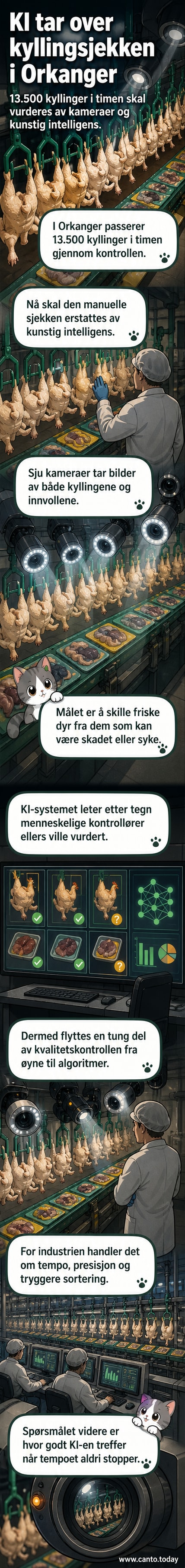 Illustrasjon av et kamera-montert kontrollbånd der kyllinger flytter seg, med digital analyse overført til en skjerm som viser 'frisk' eller 'skadet'.