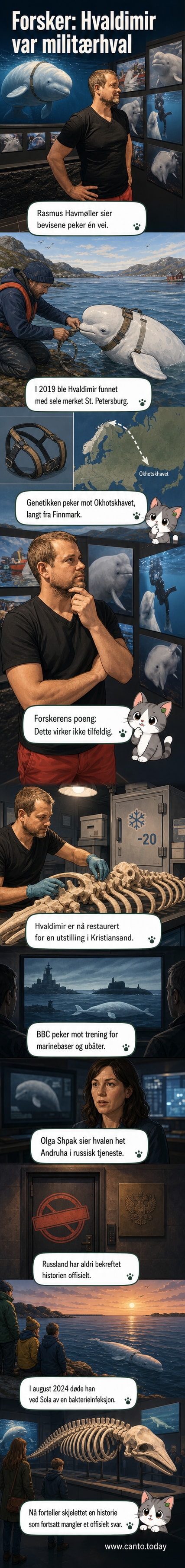Skjelettet av Hvaldimir stilt ut i et glassvindu med tekstskilt og lys, bakgrunnen viser havmiljø