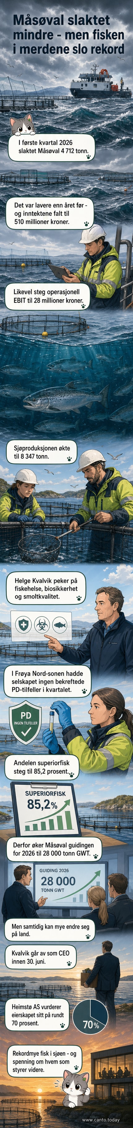Illustrasjon av en laks i merd med graf som viser stigende biomasse og fallende slaktevolum for Måsøval i 2026