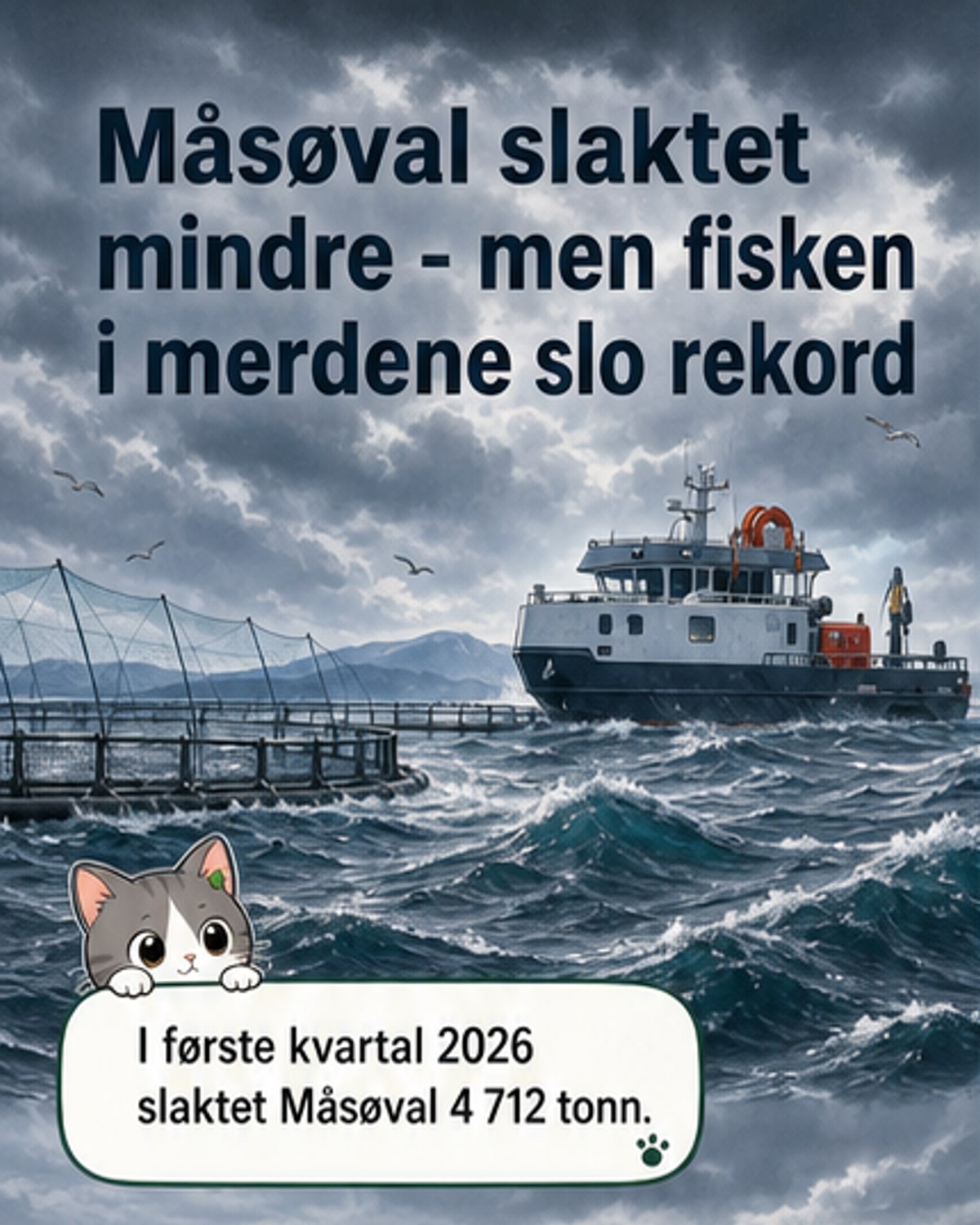 Rekordhøy biomasse hos Måsøval
