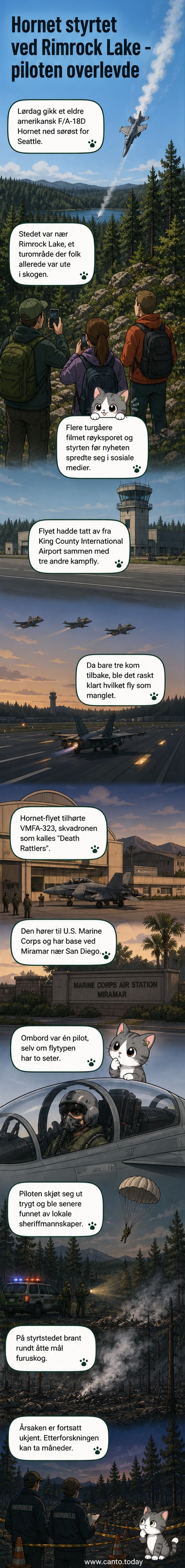 Illustrasjon av et amerikansk F/A-18D Hornet kampfly som styrter i et skogsområde med røyk og flammer.