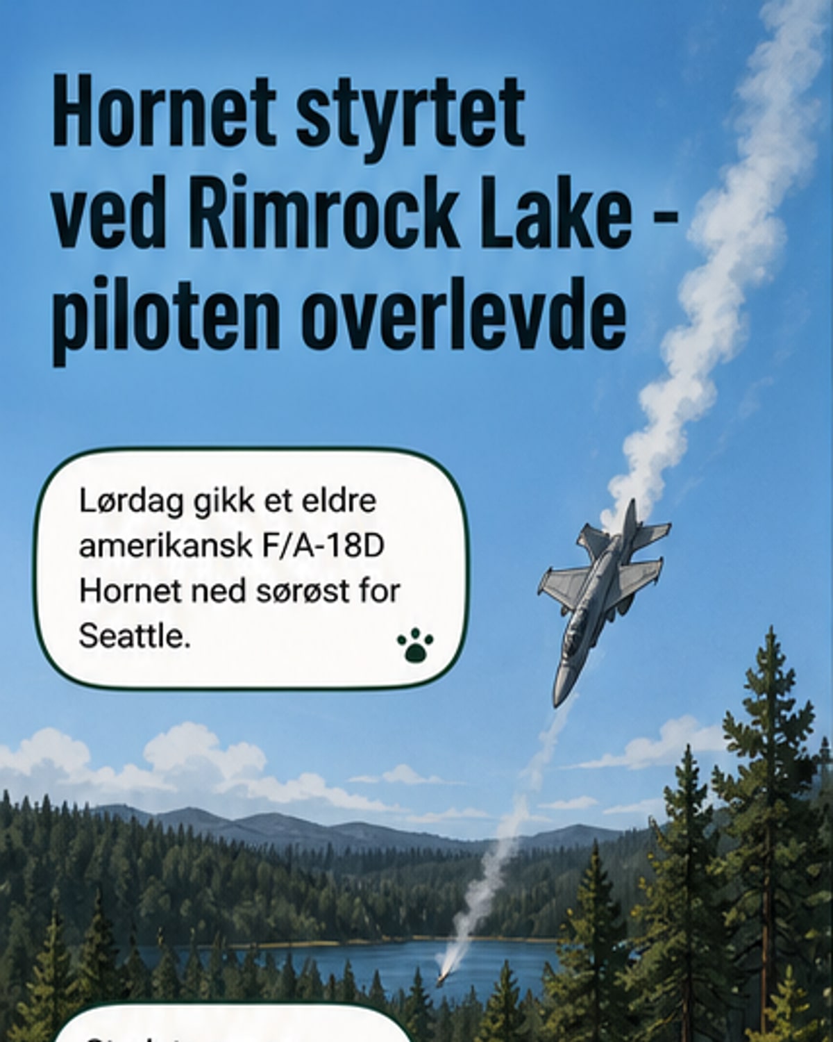 Amerikansk kampfly styrtet i Washington