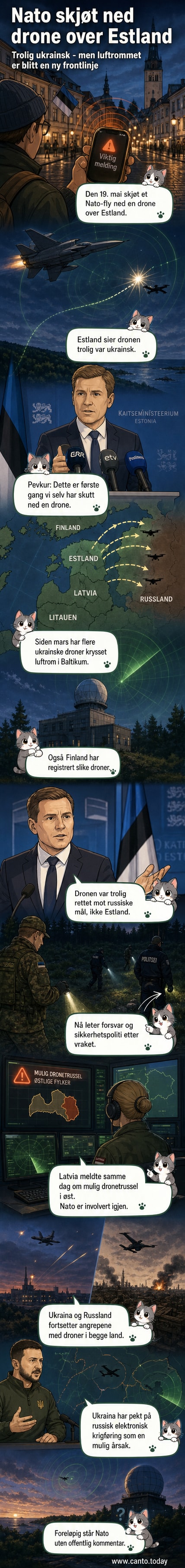Illustrasjon av en NATO-jagerfly som skjøter ned en drone over estisk territorium under grå himmel.